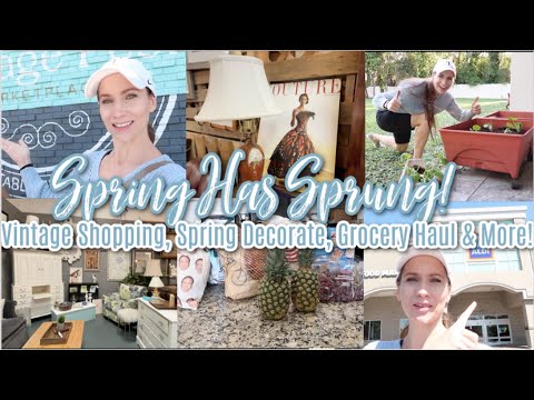 Spring Has Sprung!  Antique Shopping, Spring Decorating, Gardening, & Grocery Haul! Let's Hang!