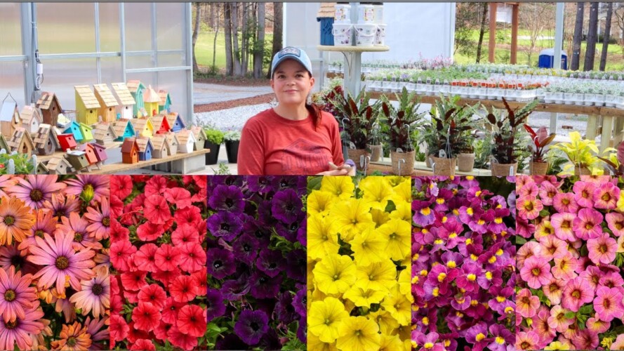 NEW Proven Winners Annuals for 2023 | Gardening with Creekside