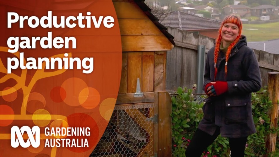 Tips for planning a new productive garden from scratch | Gardening 101 | Gardening Australia