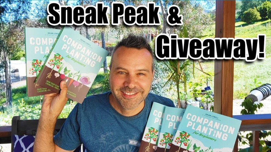 A Look INSIDE  My New Book & I'm Giving Away 5 Signed Copies of "Companion Planting for Beginners"!