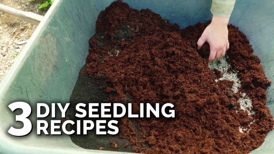 Make Your Own Seed Starting Mix