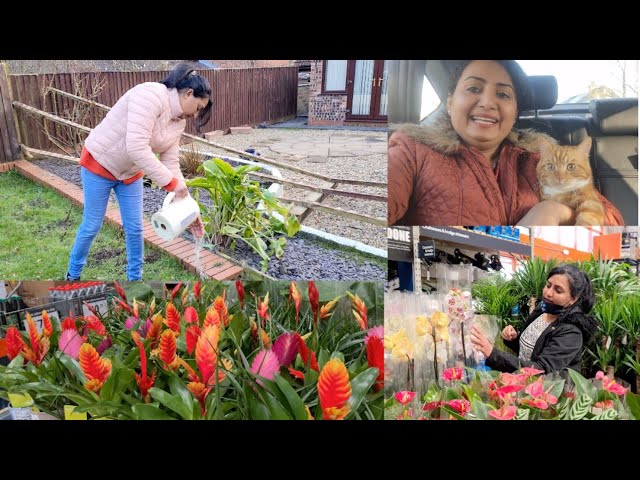 പുതിയ വീട്ടിലേയ്ക്കുള്ള shopping, gardening  ഒക്കെ പതുക്കെ തുടങ്ങി/ Simbakuttan/ UK Malayalam vlog❤️