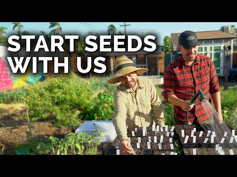 Start Seeds With Us: Spring Flowers, Summer Crops, and More!