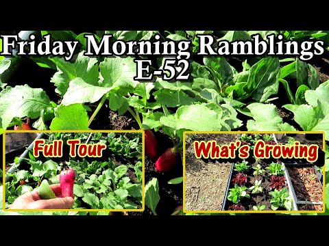Under Controlish! Crop Growth, Harvesting, Some Fails, & Get Planting: FM Gardening Ramblings E-52
