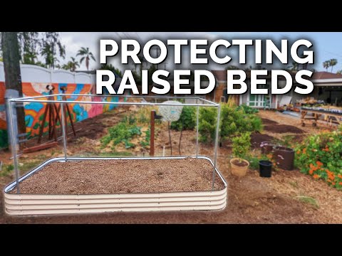 How to Perfectly Pest-Proof a Raised Bed