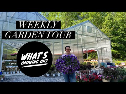 Weekly Garden Tour: What's Growing On? | Gardening with Creekside