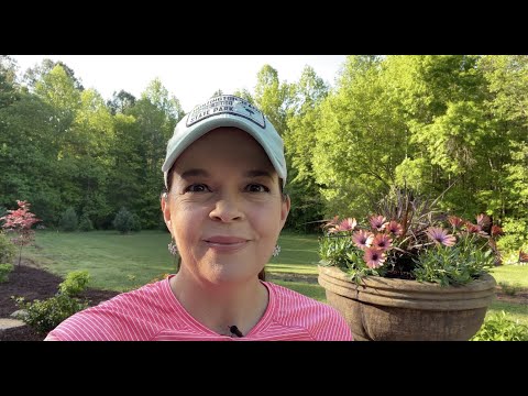 New Planting Ideas for the Spring and Summer | Gardening with Creekside