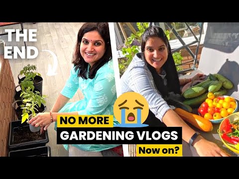 NO more GARDENING Videos? | Gardening with Sangwan Family