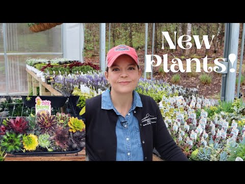 Cute New Plants Have Arrived | Gardening with Creekside