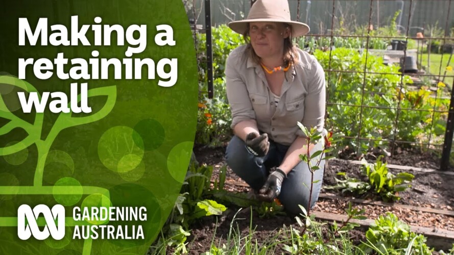 How to make a garden retaining wall from scratch | DIY Garden Projects | Gardening Australia