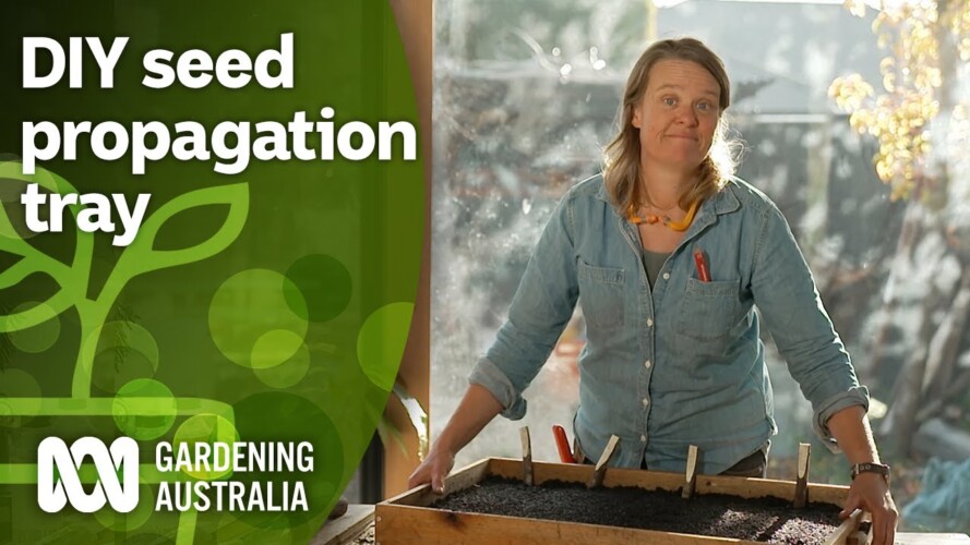 How to make a seed propagation tray | DIY Garden Projects | Gardening Australia