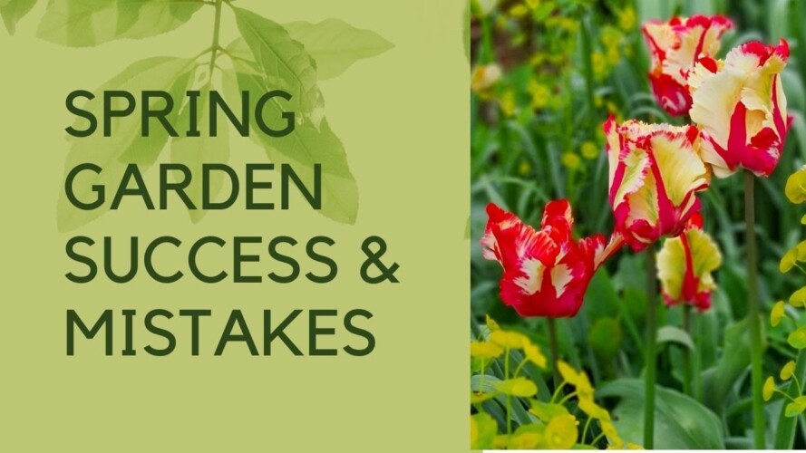 Spring garden tour - answers to the top spring gardening questions