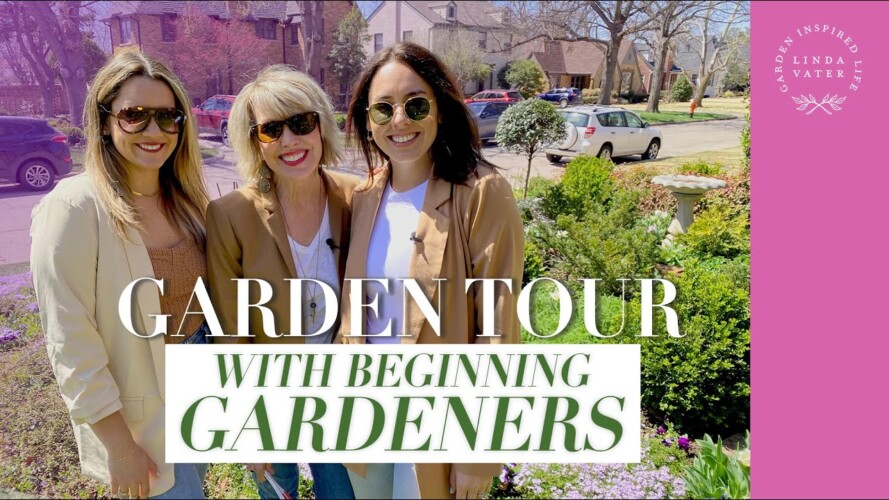 🌸🍃🌸 Q&A with New Gardeners❣️ What gardening basics do you want to know?