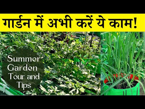 गार्डन में अभी करें ये काम! May Month Me Gardan Ka Tour And Gardening Tips In Hindi