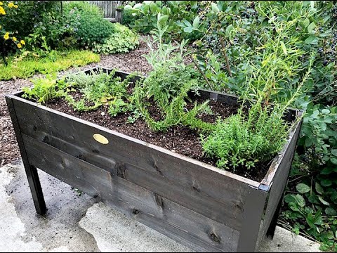 Adaptive Gardening: Everyone Can Grow a Garden (2022) #19