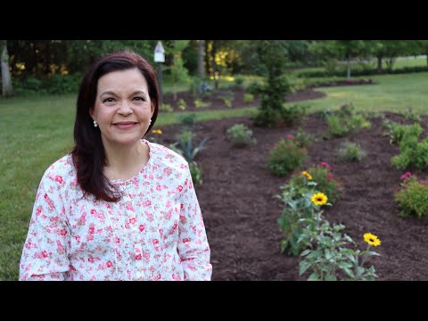 How to Create a Beautiful Flower Bed | Gardening with Creekside