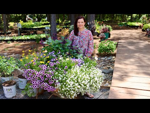 New Plant Arrivals at the Nursery | Gardening with Creekside
