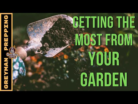 Gardening Tips For New Gardeners | Start A Garden Today