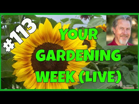 The Best Gardening Tips (Q&A)