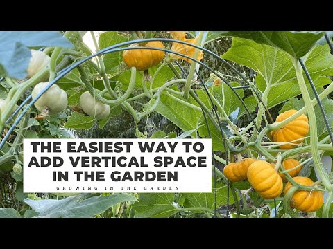EASY (& CHEAP!) way to ADD VERTICAL GARDENING SPACE: Growing in the Garden