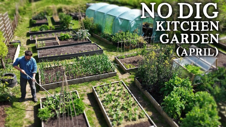 GARDEN TOUR of My No Dig Raised Bed Vegetable Garden in April
