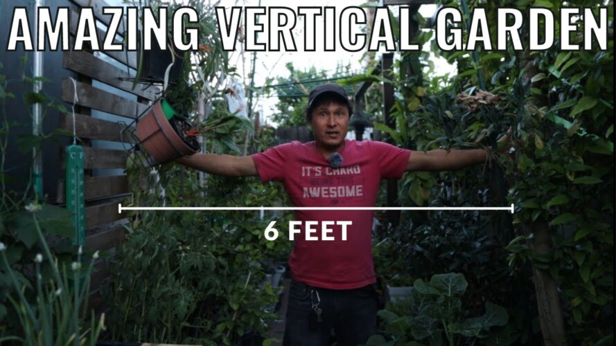 Girl Grows TONS of Food in 6 ft Wide Alley | Vertical Gardening