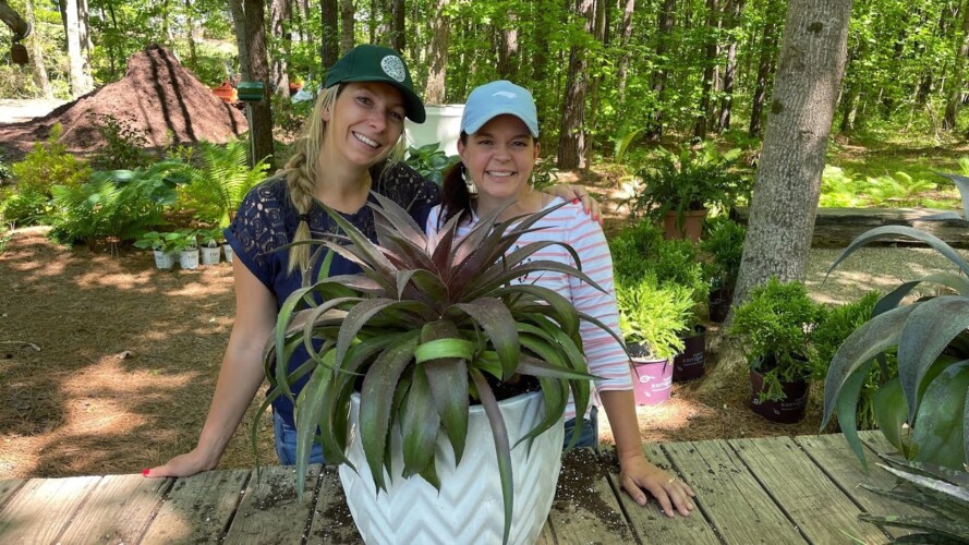 The Coolest New Plant We've Seen in a Long Time | Gardening with Creekside