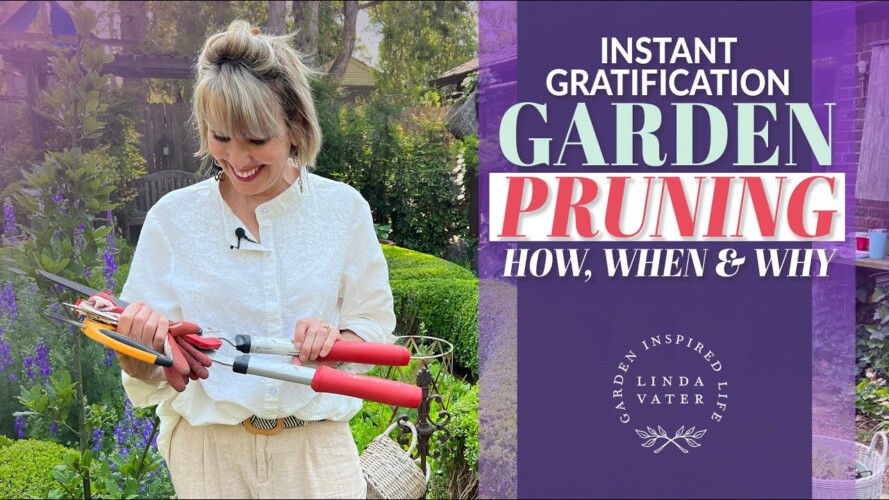 💗🍃💗 Gardening: How, When, Why to Prune What ❗️|| LV