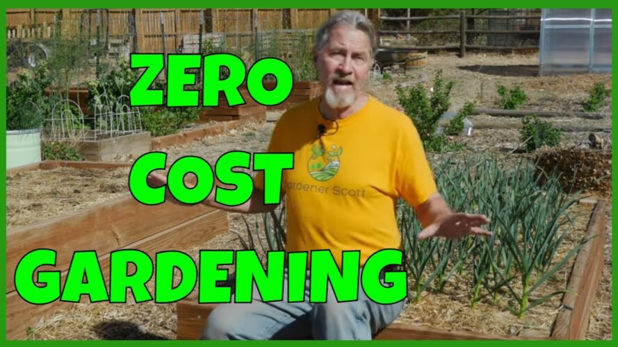 How to Garden for FREE!