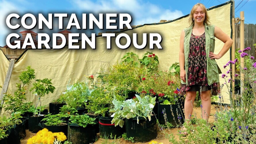 She Learned to Garden in a Cult 😱 | Container Garden Tour