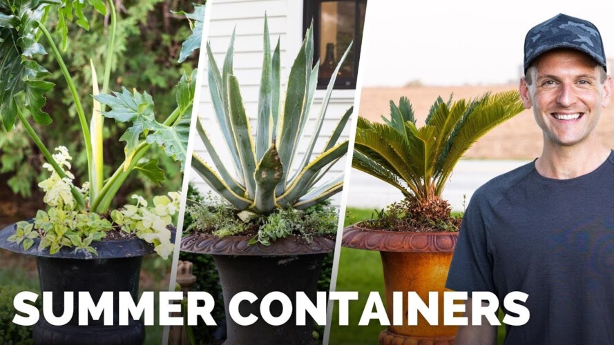 Planting My Summer Containers | Gardening with Wyse Guide
