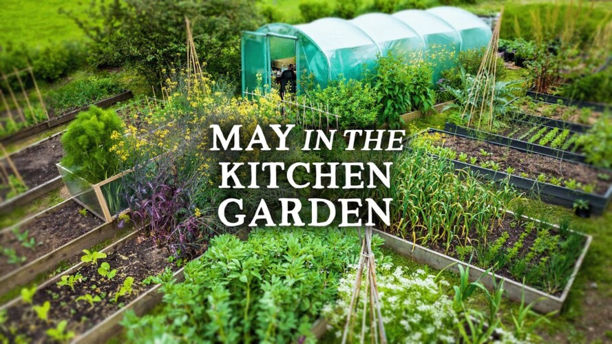 Abundant Permaculture Kitchen Garden Tour | NO DIG Gardening in May