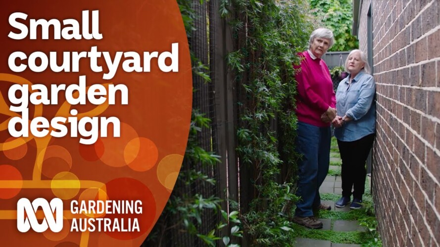 Tips for planning out a small space courtyard garden | Garden Design | Gardening Australia