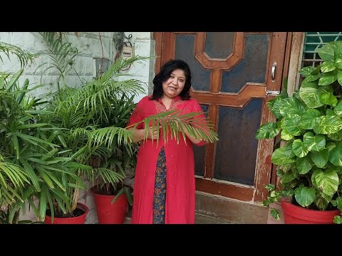 June Gardening Works - Do THESE Gardening Works in June / Summers || Fun Gardening