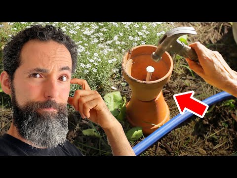 9 GARDENING HACKS That Actually Work