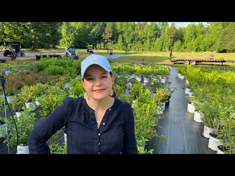 Behind The Scenes Of Nursery Production | Gardening with Creekside