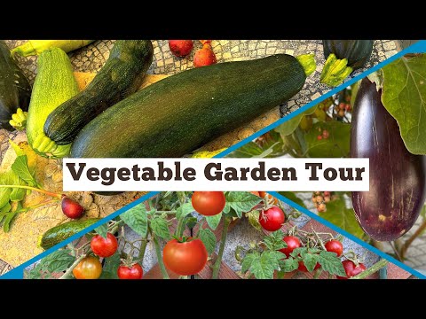 SEE Methods of Growing Vegetables Elevated in Raised Bed Container Gardening, Vertical & Box Garden
