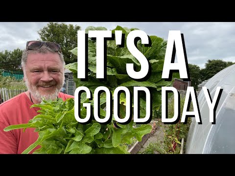This Is What Gardening Is All About | Allotment Gardening With Tony