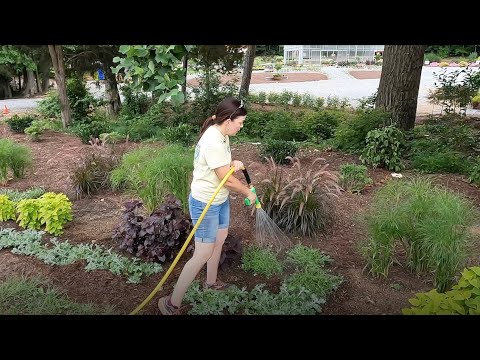 Using Our New Garden Water Tank | Gardening with Creekside