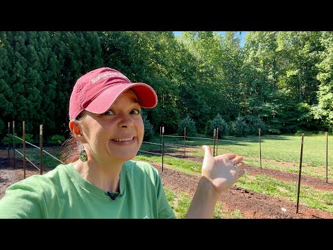 Planting Laura's Dahlias & More | Gardening with Creekside