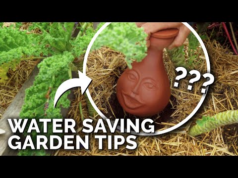 6 Clever Ways to Water Your Garden In a Drought