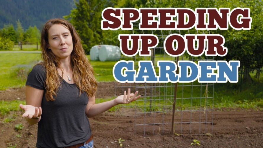 How we're SPEEDING UP our Growing Season! | Gardening Tasks in June