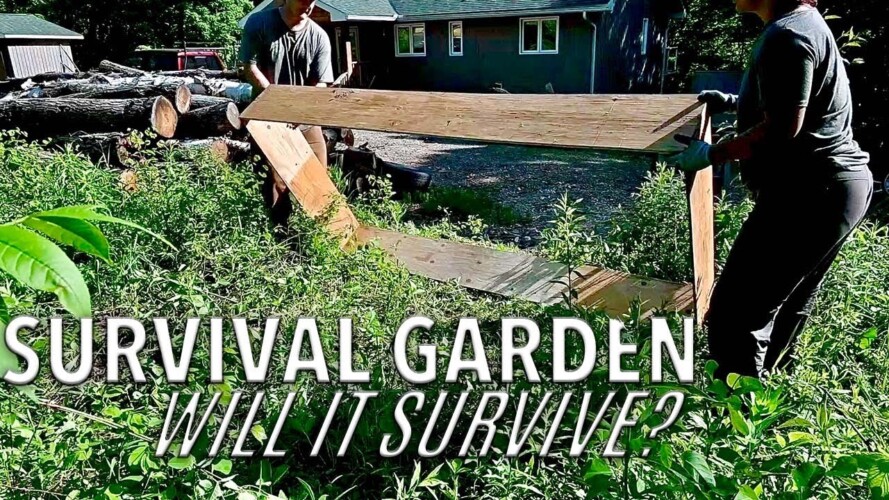 6 Tips for Growing Survival Gardening Crops - Making Your Home or Homestead More Sustainable
