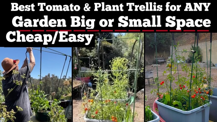 BEST Vertical Gardening Multi Design EVER-Tomato Plant Stake Trellis/Cage Container Garden Raisedbed