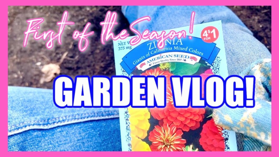 GARDENING VLOG! FIRST OF 2022! Cleaning Out and Planting!