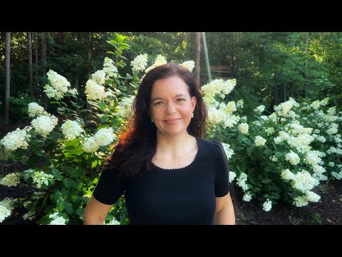 My Best Hydrangea Recommendations | Gardening with Creekside