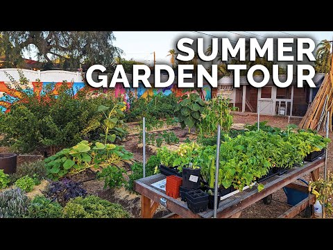 My Garden is EXPLODING With Growth! | Summer 2022 Garden Tour