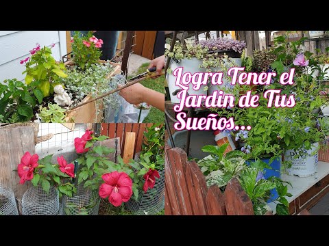 Así Logro Tener Plantas Hermosas en un Jardin pequeño🥰 #jardineria #gardening