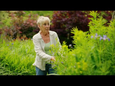 Summer Gardening with Carol Klein S01E01