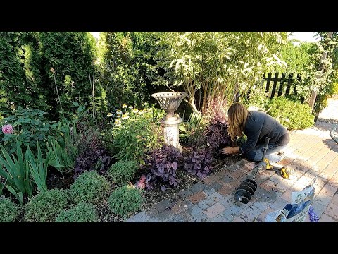 Freshening Up a Perennial Bed & Planting Lots of Veronica! 🌿💗🌿 // Garden Answer